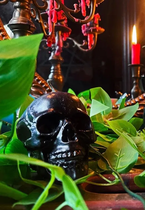 Impericon Anatomical Skull Black Kerze Amber Duft