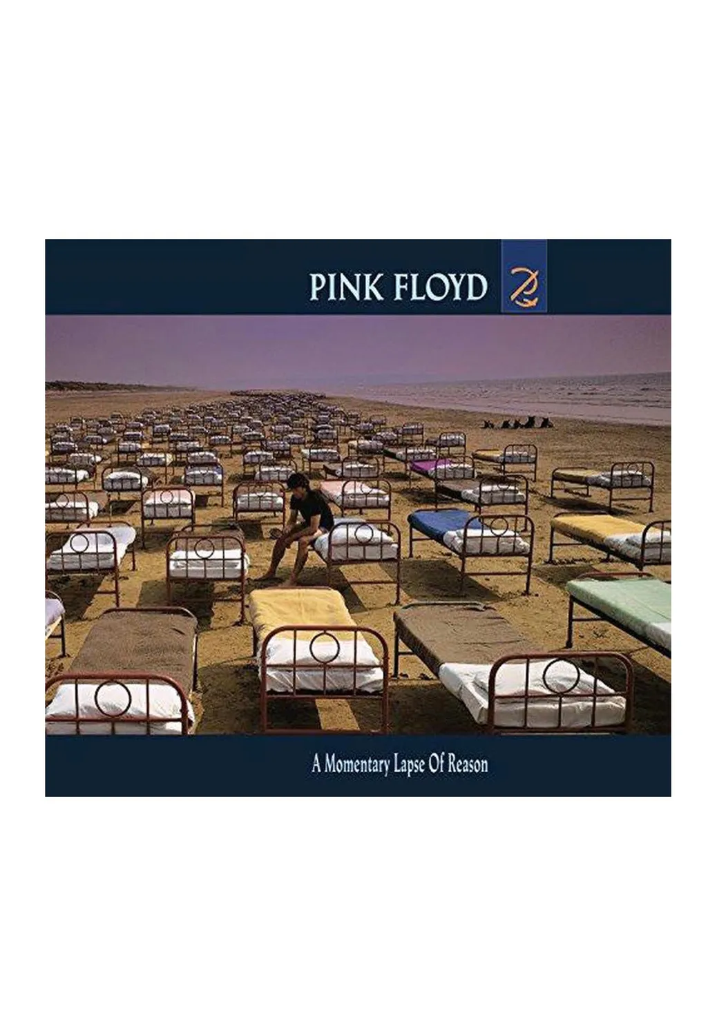 Impericon A Momentary Lapse Of Reason Remastered Vinyl LP Rock